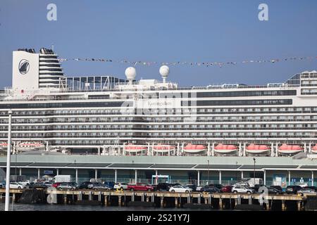 San Diego, Kalifornien, USA. Dezember 2024. Das Kreuzfahrtschiff Koningsdam der Holland America Line legt im Hafen von San Diego an und präsentiert sein schlankes, modernes Design und die weitläufige Struktur mit mehreren Decks. Unter der niederländischen Flagge steht das Schiff für luxuriöse Seefahrten und verbindet Eleganz mit modernster Ausstattung. Die geschäftige Hafenkulisse unterstreicht den Kontrast zwischen der Pracht des Kreuzfahrtschiffes und der Skyline der Stadt und fängt die Lebendigkeit von San Diego als wichtiger Drehkreuz für maritime Aktivitäten und Tourismus ein. (Kreditbild: © Ian L. Sitren/ZUMA Press Wire) NUR REDAKTIONELLE VERWENDUNG! Nicht für com Stockfoto