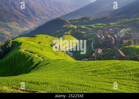 Yaoshan Mountain, Guilin, China Reisterrassen Landschaft, Sonnenuntergang Stockfoto