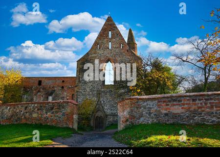 Das Rosa-Coeli-Kloster. Alte katholische Ruine des Frauenklosters in der Nähe von Dolni Kounice - Tschechische Republik. Stockfoto