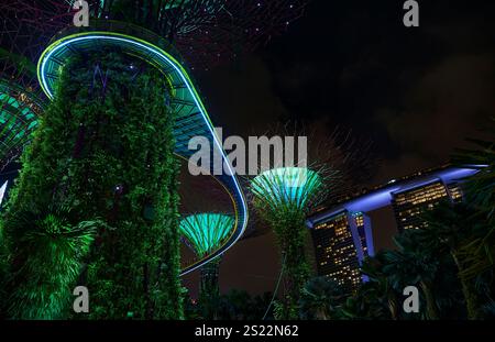Futuristischer, erhöhter Fußweg, der sich durch beleuchtete Superbäume und üppige Vegetation in Gärten an der Bucht in singapur schlängelt Stockfoto