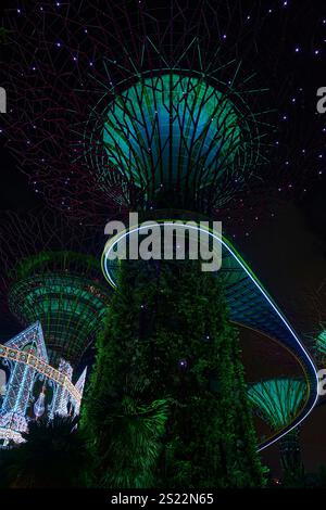 Gärten am Bay Superbaumhain leuchten nachts mit bunten Lichtern, futuristische Architektur in singapur Stockfoto