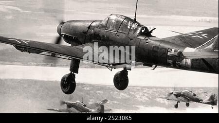 Tauchen Sie die Bomber Junkers Ju-87 (Ju-87D-5) von der StG77 an der Ostfront. - Historisches Dokument, Fotograf unbekannt Stockfoto