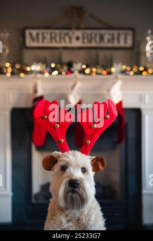 Niedlicher Hund, der zu Weihnachten Rentiergeweihe vor dem Kamin trägt. Stockfoto