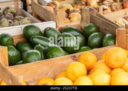 Avocados und andere Produkte werden auf einem Marktstand mit geringer Schärfentiefe ausgestellt Stockfoto
