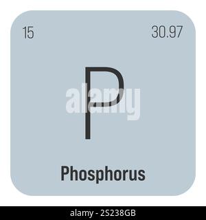 Phosphor, P, Periodenelement mit Name, Symbol, Atomzahl und Gewicht. Nichtmetall mit verschiedenen industriellen Verwendungszwecken, z. B. in Düngemitteln, Detergenzien und als Bestandteil bestimmter Arten von Explosivstoffen. Stock Vektor