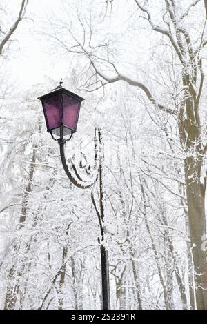 Eine klassische Vintage-Straßenleuchte mit einem violetten Glasschirm steht inmitten von schneebedeckten Bäumen in einem ruhigen Winterpark. Frostige Äste schaffen eine Ruhe, p Stockfoto