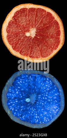Grapefruit (Citrus x aurantium f. aurantium) im sichtbaren Licht und Fluoreszenz im UV-Licht. Stockfoto