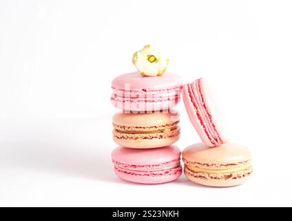 Elegante Komposition aus rosafarbenen und beigen Macarons, die mit einem zarten kleinen Ranunkel verziert sind, vor einem sauberen weißen Studiohintergrund. Minimalistischer Stall Stockfoto