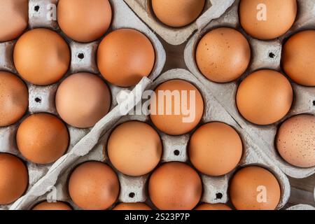 Bio-braune Eier in Kartonschale Stockfoto