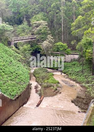 Wasserabfluss aus dem Kundala-Damm (auch bekannt als Setuparvatipuram-Staudamm), der am Muthirapuzha River im Bezirk Idukki in Kerala, Indien, gebaut wurde. Es ist ein Majo Stockfoto