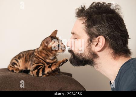 Ein herzerwärmender Moment einer bengalischen Katze, die das Gesicht eines bärtigen Mannes berührt, während sie einander anschauen. Erfasst die Bindung zwischen Mensch und Tier in einem Co Stockfoto