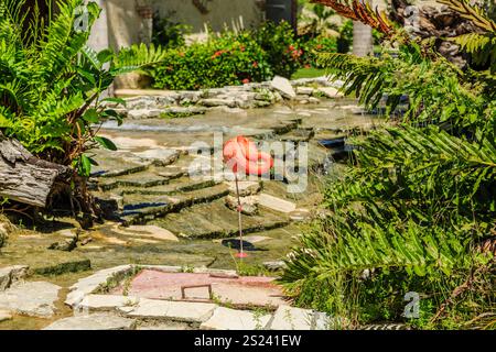 Ein rosafarbener Flamingo steht in einem Garten mit einem Steinweg. Der Flamingo ist der Hauptfokus des Bildes, und die Gartenumgebung schafft ein friedliches und Stockfoto