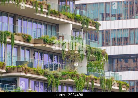 Luxuriöse Apartmenttürme im Amsterdamer Zuidas-Viertel mit hängenden Pflanzen Stockfoto