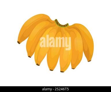 Bananen. Ganze tropische Früchte, gelbe Banane. Gesunde Bio-Rohkost, Kochzutat, exotisches veganes Produkt, vegetarische süße Ernährung Stock Vektor