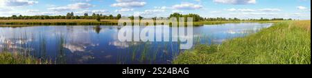 Sommer rushy Panoramablick auf den See mit Wolken Reflexionen. Elf Aufnahmen zusammengesetztes Bild. Stockfoto