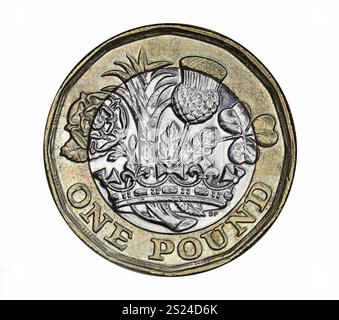 Vereinigtes Königreich 1-Pfund-Münze mit Rose, Distel, Kleeblatt und Lauch als Symbole für England, Schottland, Irland und Wales Stockfoto