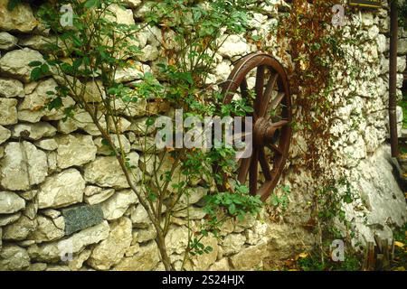 Antikes Wagenrad auf einer Steinmauer mit Kletterpflanzen Stockfoto