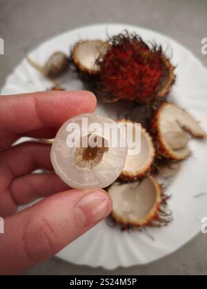Finger, die einen Querschnitt aus Rambutan halten und sein durchscheinendes Fleisch und Samen freilegen, mit anderen geöffneten Früchten auf einem Teller Stockfoto