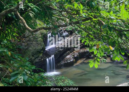 Ein kleiner, ruhiger Wasserfall, der über Felsen stürzt, umgeben von üppig grünem Laub. Das Wasser fließt sanft in ein klares Becken darunter und schafft eine ruhige Atmosphäre Stockfoto