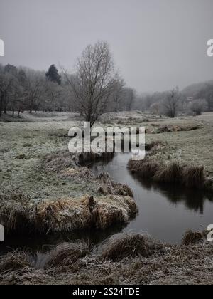 Eine ruhige Winterlandschaft mit dem Rokytka-Fluss, der sich durch eine frostige Wiese in prag 9, tschechien, schlängelt und die friedliche Schönheit der Natur in dece zeigt Stockfoto