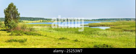 Blick auf den See im Sommer mit kleinem Hain auf der gegenüberliegenden Küste. Bild mit zwei Aufnahmen zusammenfügen. Stockfoto