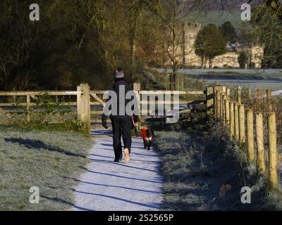 Person (Rückansicht) und Hundetraining an einem sonnigen, frostigen winterlichen Tag (friedlicher Wanderweg auf dem Land) - Bolton Abbey Estate, North Yorkshire, England, Großbritannien Stockfoto