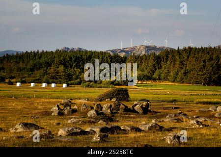 Ein riesiges Feld in Lista bietet verstreute große Steine und Grasflecken unter blauem Himmel. In der Ferne erheben sich Windräder vor einem Hintergrund Stockfoto