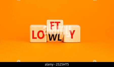 Symbol „hoch“ oder „niedrig“. Concept Words Lofty niedrig auf Holzblock. Schöner oranger Tisch mit orangefarbenem Hintergrund. Geschäftliches oder schwaches Konzept. Spac kopieren Stockfoto