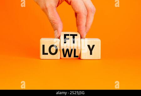 Symbol „hoch“ oder „niedrig“. Concept Words Lofty niedrig auf Holzblock. Schöner oranger Tisch mit orangefarbenem Hintergrund. Geschäftsmann Hand. Geschäftlich hoch oder niedrig Stockfoto