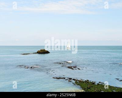 Küste der Cote d'albatre Ärmelkanal bei Ebbe in der Nähe von Eretrat Dorf, Francee Stockfoto