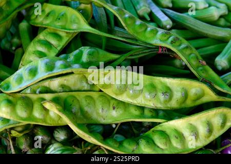 Fegetable am Tag Markt in der Stadt Phuket auf der Insel Phuket im Süden von Thailand in Südostasien. Stockfoto