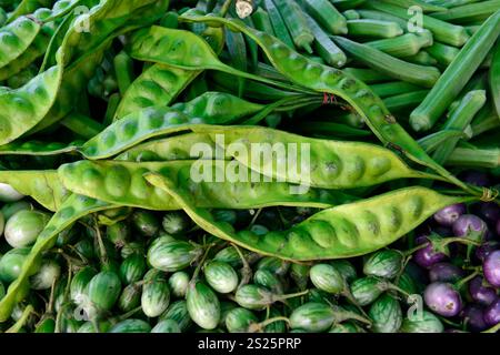 Fegetable am Tag Markt in der Stadt Phuket auf der Insel Phuket im Süden von Thailand in Südostasien. Stockfoto