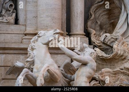 Detail eines Hippocamps und einer Trition im Trevi-Brunnen auf der Piazza di Trevi in Rom, Italien. Stockfoto