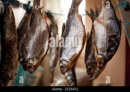 Nahaufnahme Foto der Zeile des Trocknens gesalzener Fisch Stockfoto