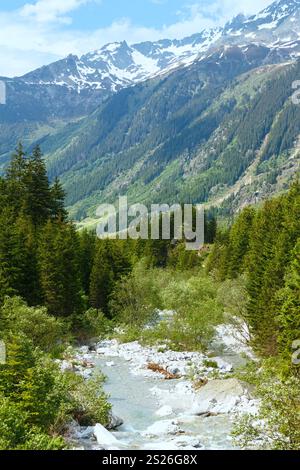 Grimselpass Sommerlandschaft mit Dampf und Tanne Bäume (Schweiz, Berner Alpen). Stockfoto