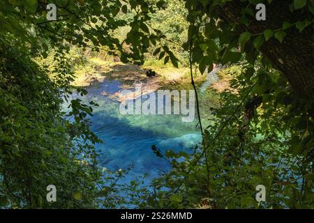 Blue Eye Natural Monument durch Bäume. Syri i Kaltër klares Wasser im Balkanland während des Sonnentages. Stockfoto