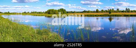 Sommer rushy Panoramablick auf den See mit Wolken Reflexionen. Stockfoto