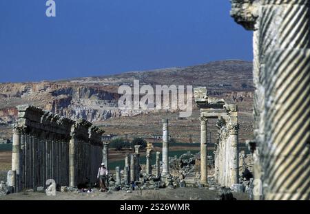 die Ruinen von Apameia nahe der Stadt von Hama in Syrien im Nahen Osten Stockfoto