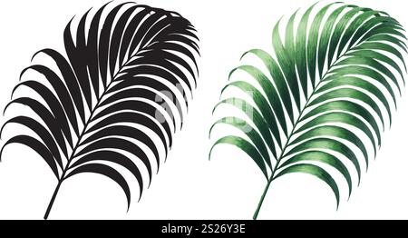 Großes Palmenblatt Aquarell und Silhouettensymbol isoliert auf weißem Hintergrund Stock Vektor