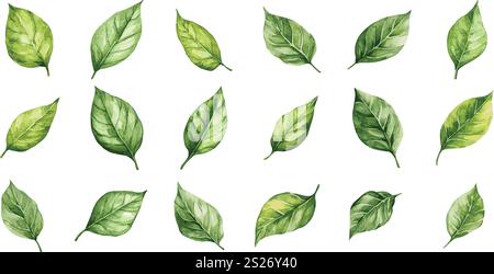 Nahtloses Muster mit frischen bunten Blumen Stock Vektor