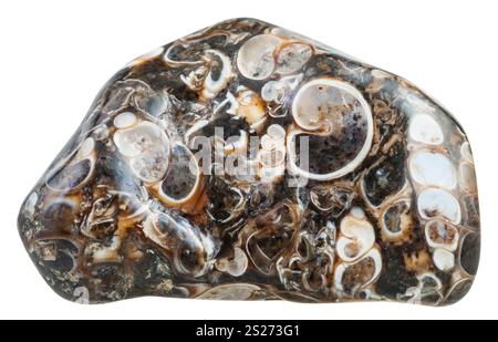 Makroaufnahmen von natürlichen Mineral Stein - trommelsteine Achat turritella (Jasper) aus Madagaskar Edelstein auf weißem Hintergrund Stockfoto