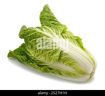 Frischer chinakohl isoliert auf weißem Hintergrund Stockfoto
