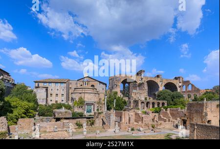 Forum Romanum in Rom, Italien: Blick auf das Haus der Vestalen Jungfrauen und die Basilika Maxentius. Stockfoto