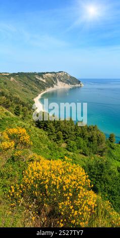 Sommer sonnigen Adria Bucht und blühende Spiaggia Mezzavalle Beach in der Nähe von Portonovo und Ancona Städte in der Region Marche. Italien, Riviera del Conero. Stockfoto