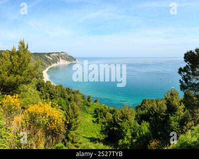 Sommer Adria Bucht und blühende Spiaggia Mezzavalle Beach in der Nähe von Portonovo und Ancona Städte in der Region Marche. Italien, Riviera del Conero. Personen u Stockfoto