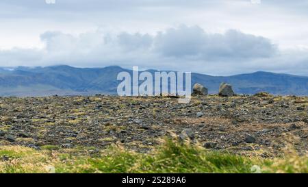 Reisen nach Island - lavafeld von Dyrholaey Halbinsel, in der Nähe von Vik i Myrdal Dorf am Atlantik Südküste in Katla Geopark im September Stockfoto