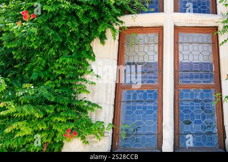 Reisen nach Frankreich - alte Fenster und Grünen bindweed Anlage an der Wand der Country House in Chenonceaux Dorf im Val de Loire Region Stockfoto