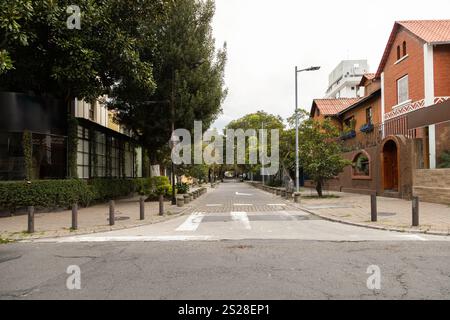 Eine Straße gesäumt von Bäumen auf der einen Seite und Häusern auf der anderen, die eine friedliche, mit Bäumen gesäumte Allee schafft. Das Grün steht im Kontrast zu den Häusern, und das fügt hinzu Stockfoto