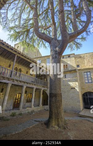 Innenhof mit Baum in der Abtei Sainte Marie in Lagrasse, Departement Aude, Frankreich, Europa Stockfoto