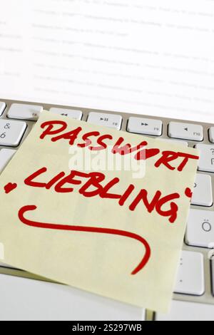 Hinweis auf der Tastatur eines Computers zur Erinnerung: Passwort Favorit Österreich Stockfoto